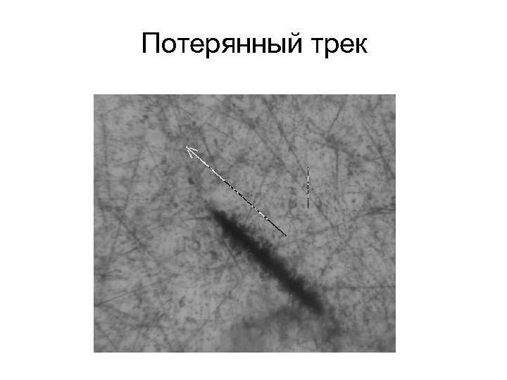 Потерянный трек 