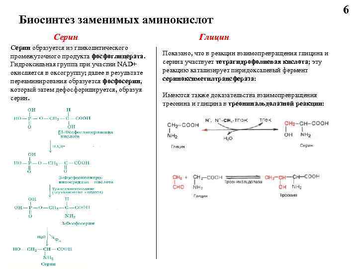 Биосинтез заменимых аминокислот Серин образуется из гликолитического промежуточного продукта фосфоглицерата. Гидроксильная группа при участии