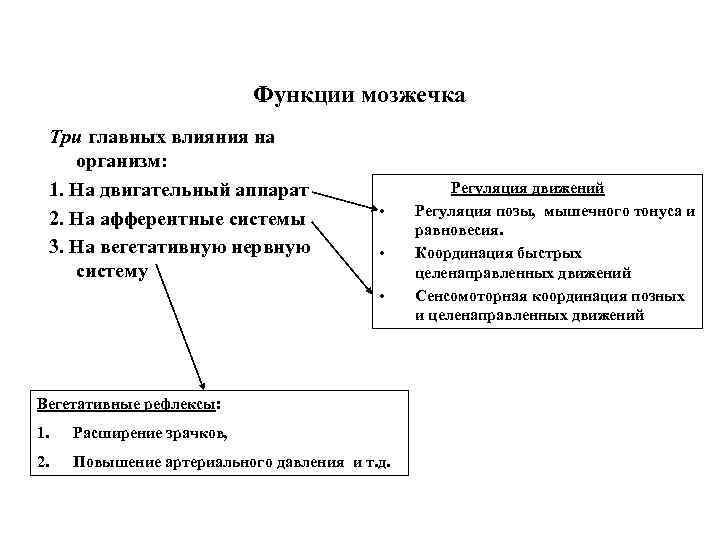 Функции мозжечка Три главных влияния на организм: 1. На двигательный аппарат 2. На афферентные