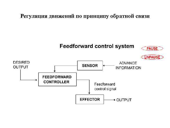 Регуляция движений по принципу обратной связи 