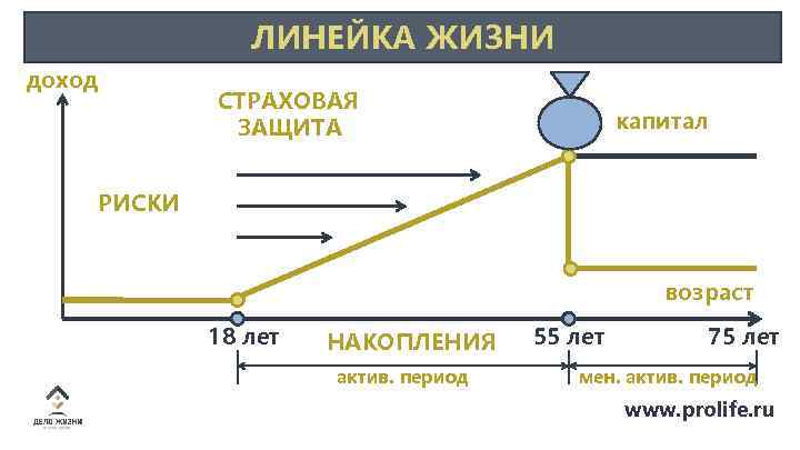 ЛИНЕЙКА ЖИЗНИ доход СТРАХОВАЯ ЗАЩИТА капитал РИСКИ возраст 18 лет НАКОПЛЕНИЯ актив. период 55