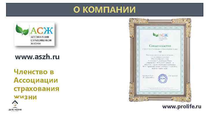 О КОМПАНИИ www. aszh. ru Членство в Ассоциации страхования жизни www. prolife. ru 