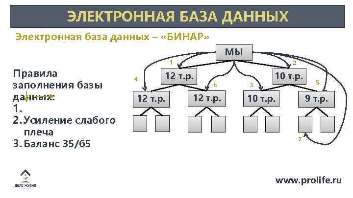 ЭЛЕКТРОННАЯ БАЗА ДАННЫХ Электронная база данных – «БИНАР» МЫ 1 Правила заполнения базы данных: