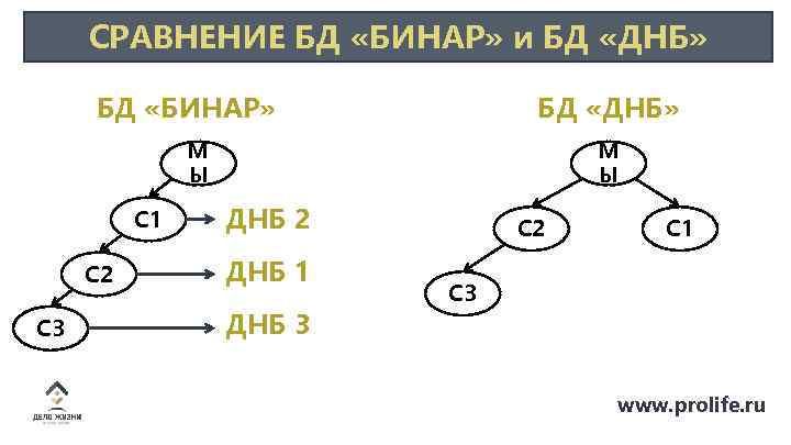 СРАВНЕНИЕ БД «БИНАР» и БД «ДНБ» БД «БИНАР» БД «ДНБ» М Ы С 1