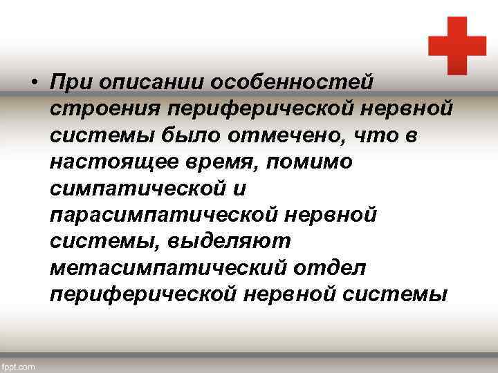  • При описании особенностей строения периферической нервной системы было отмечено, что в настоящее