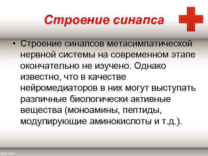 Строение синапса • Строение синапсов метасимпатической нервной системы на современном этапе окончательно не изучено.