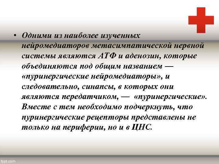  • Одними из наиболее изученных нейромедиаторов метасимпатической нервной системы являются АТФ и аденозин,