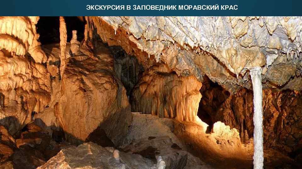 ЭКСКУРСИЯ В ЗАПОВЕДНИК МОРАВСКИЙ КРАС 