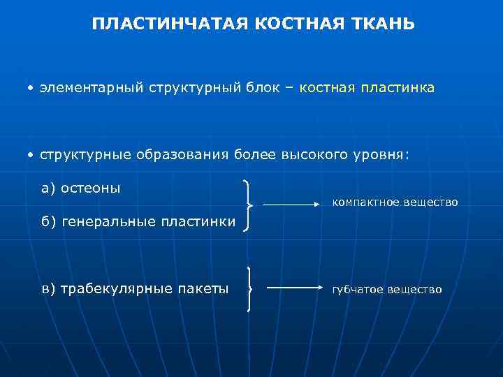 ПЛАСТИНЧАТАЯ КОСТНАЯ ТКАНЬ • элементарный структурный блок – костная пластинка • структурные образования более