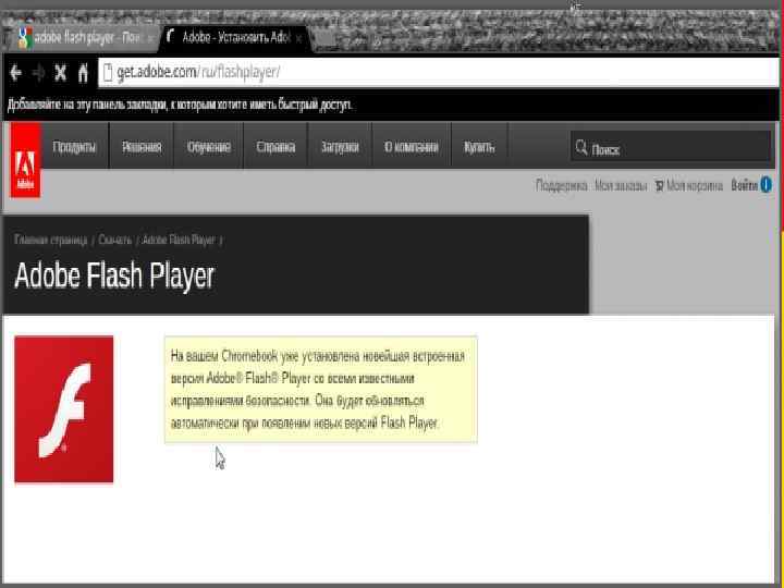 Стандартные приложения Google Chrome OS • Популярный браузер Google Chrome, так же как и