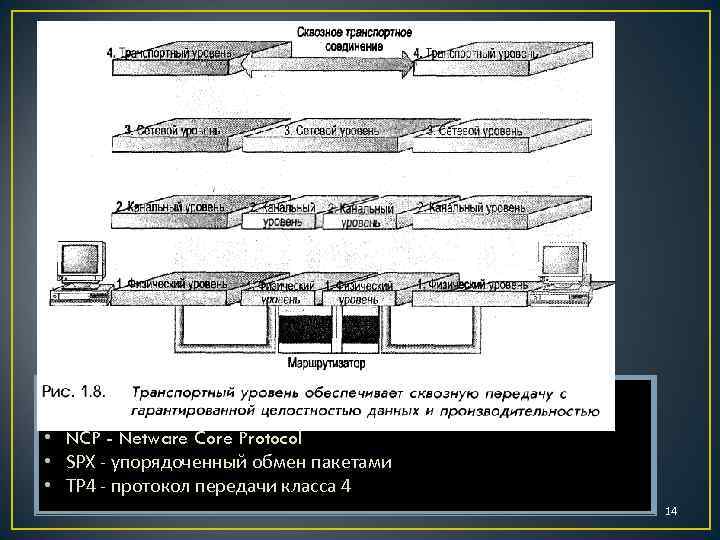 Наиболее распространенные протоколы транспортного уровня: • TCP - протокол управления передачей • NCP -