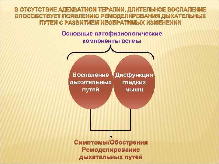 Основные патофизиологические компоненты астмы Воспаление Дисфункция дыхательных гладких путей мышц Симптомы/Обострения Ремоделирование дыхательных путей