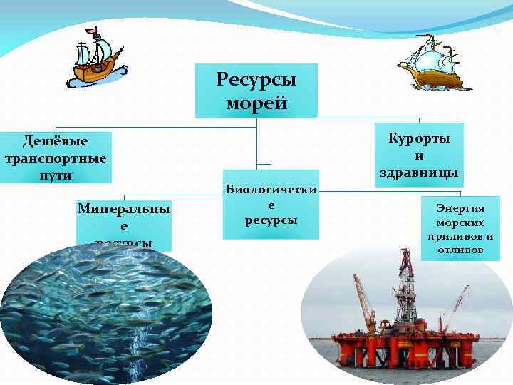 Белое море ресурсы и их использование