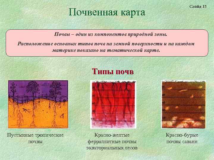 Слайд 15 Почвенная карта Почвы – один из компонентов природной зоны. Расположение основных типов