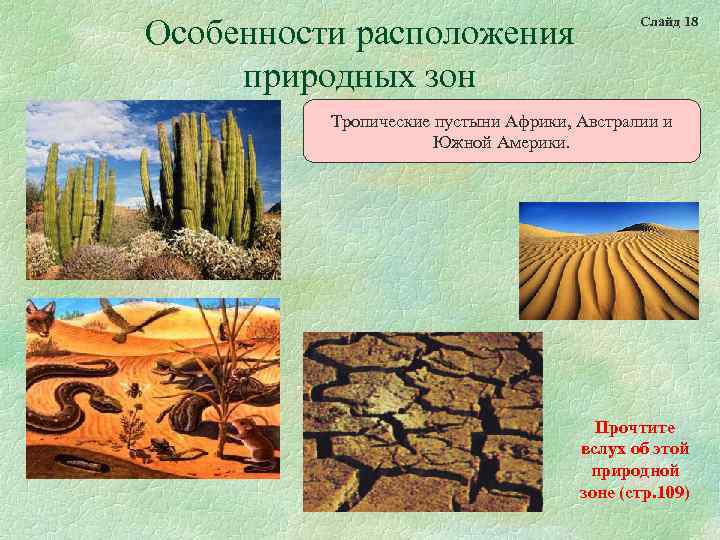 Особенности расположения природных зон Слайд 18 Тропические пустыни Африки, Австралии и Южной Америки. Прочтите