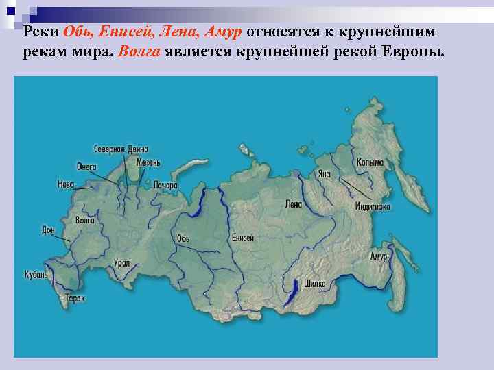 Реки Обь, Енисей, Лена, Амур относятся к крупнейшим рекам мира. Волга является крупнейшей рекой