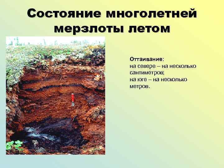 Состояние многолетней мерзлоты летом Оттаивание: на севере – на несколько сантиметров; на юге –