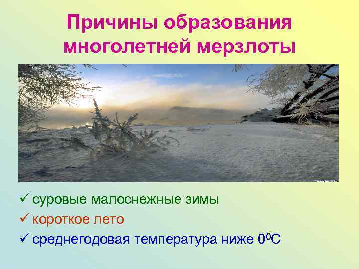 Причины образования многолетней мерзлоты ü суровые малоснежные зимы ü короткое лето ü среднегодовая температура