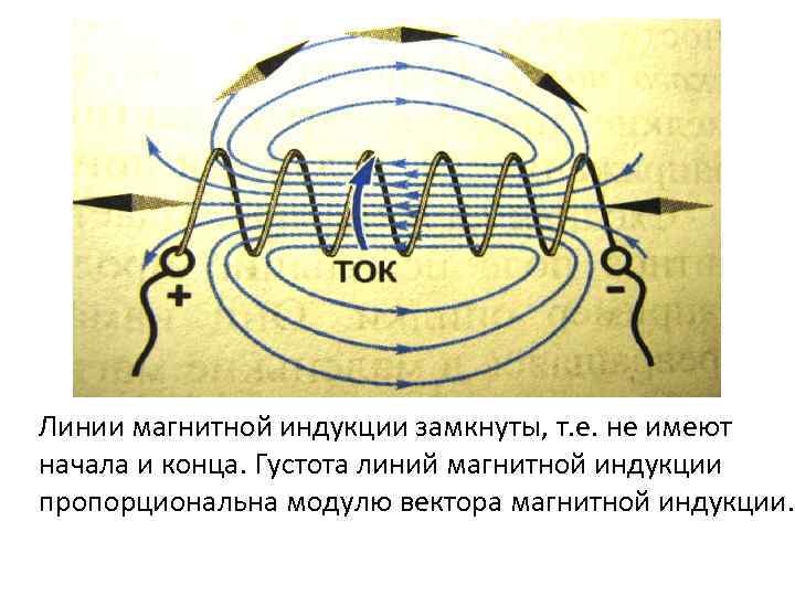 Линии магнитной индукции замкнуты, т. е. не имеют начала и конца. Густота линий магнитной
