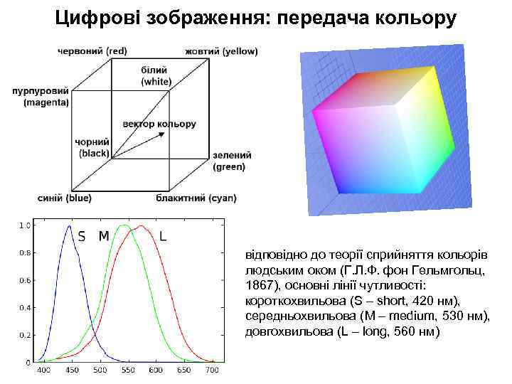 Цифрові зображення: передача кольору відповідно до теорії сприйняття кольорів людським оком (Г. Л. Ф.