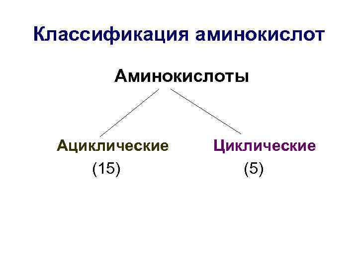 Классификация аминокислот Аминокислоты Ациклические (15) Циклические (5) 