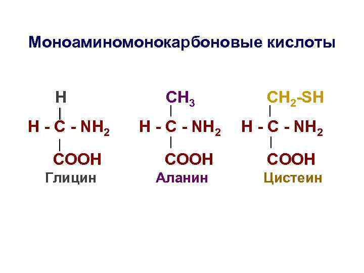 Моноаминомонокарбоновые кислоты H H - C - NH 2 COOH Глицин СН 3 H