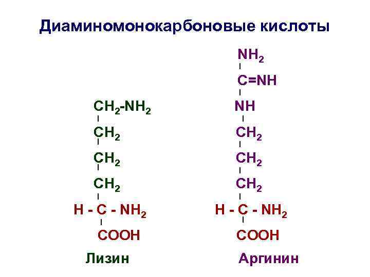 Диаминомонокарбоновые кислоты NH 2 C=NH СН 2 -NH 2 NH СH 2 СН 2