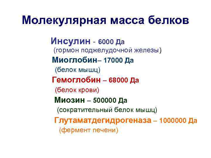 Молекулярная масса белков Инсулин - 6000 Да (гормон поджелудочной железы) Миоглобин– 17000 Да (белок