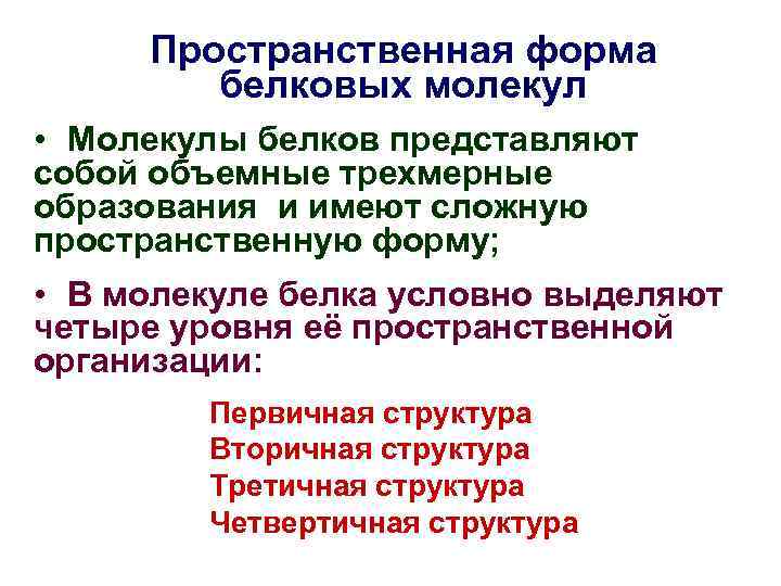 Пространственная форма белковых молекул • Молекулы белков представляют собой объемные трехмерные образования и имеют