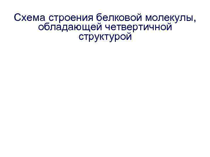 Схема строения белковой молекулы, обладающей четвертичной структурой 