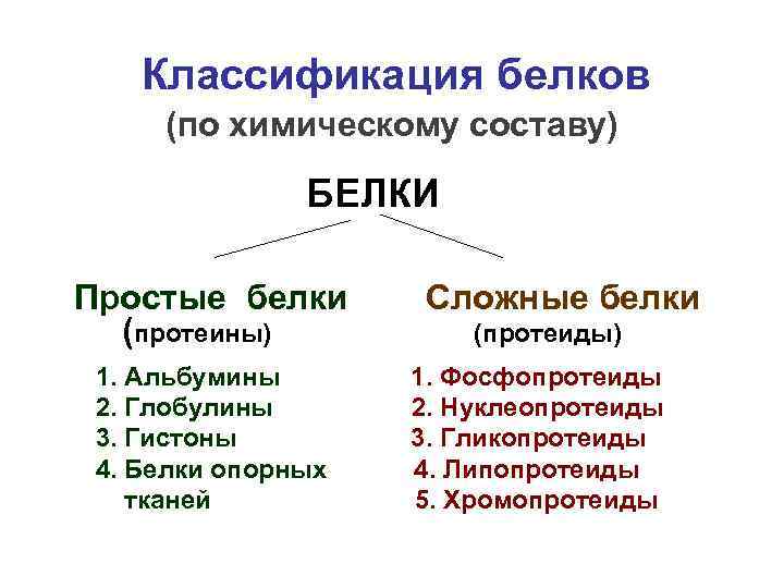 Классификация белков (по химическому составу) БЕЛКИ Простые белки (протеины) 1. Альбумины 2. Глобулины 3.