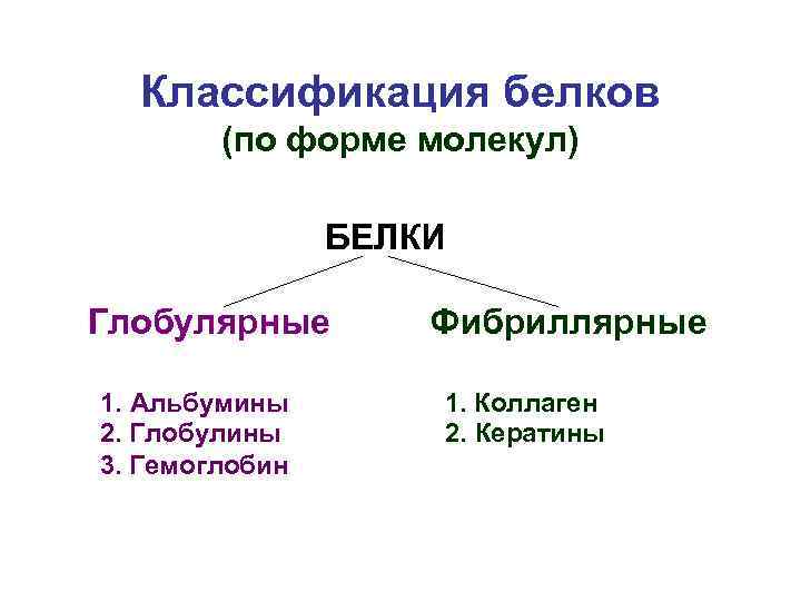 Классификация белков (по форме молекул) БЕЛКИ Глобулярные 1. Альбумины 2. Глобулины 3. Гемоглобин Фибриллярные