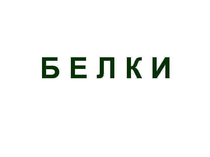 БЕЛКИ 