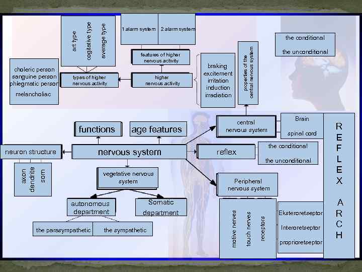 types of higher nervous activity 2 alarm system the conditional features of higher nervous