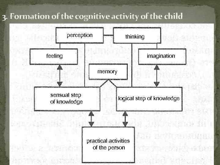 3. Formation of the cognitive activity of the child perception thinking feeling imagination memory