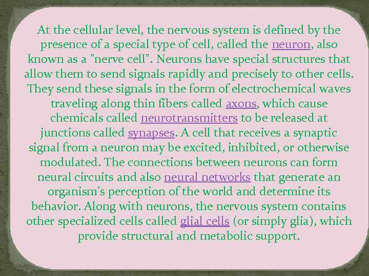 At the cellular level, the nervous system is defined by the presence of a