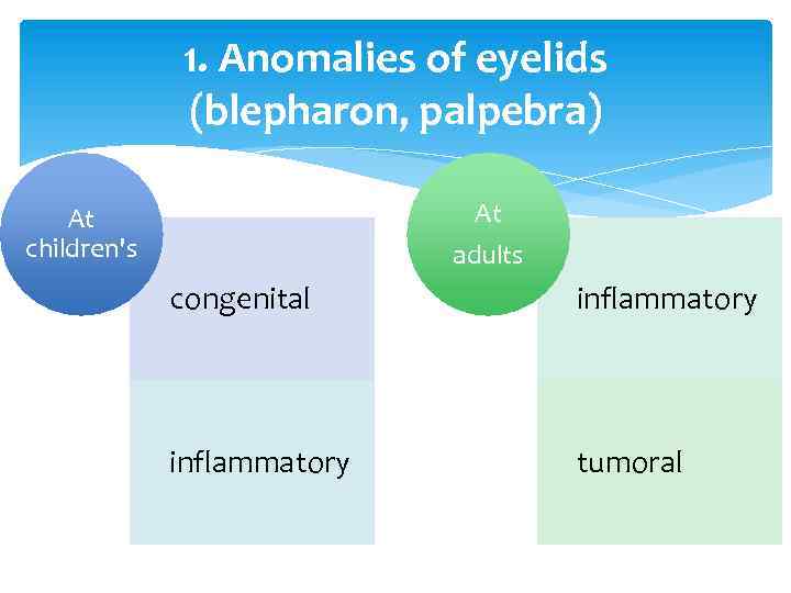 1. Anomalies of eyelids (blepharon, palpebra) Аt adults At children's congenital inflammatory tumoral 