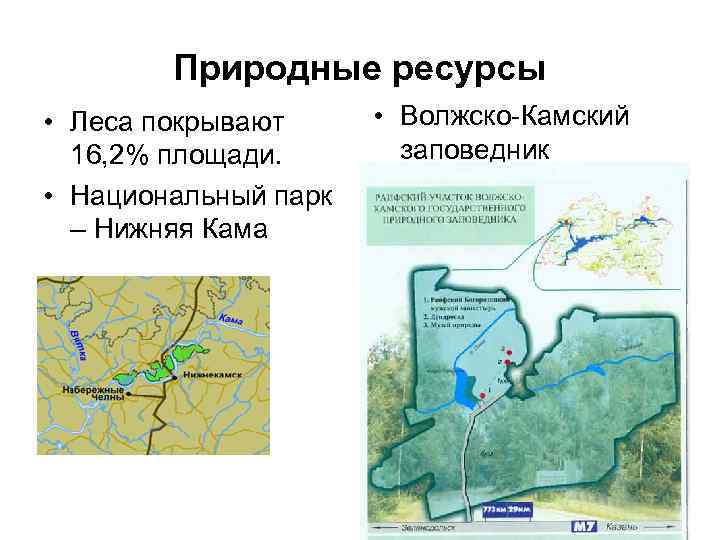 Природные ресурсы • Леса покрывают 16, 2% площади. • Национальный парк – Нижняя Кама