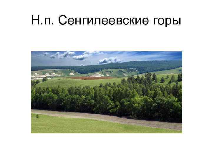 Н. п. Сенгилеевские горы 