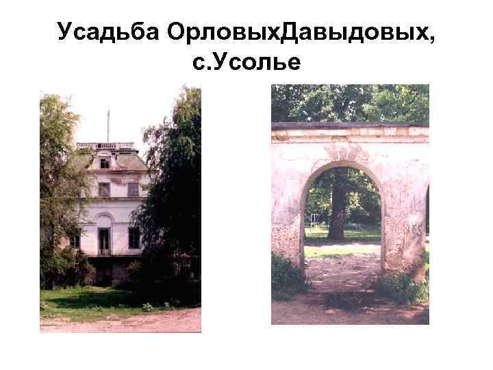 Усадьба Орловых. Давыдовых, с. Усолье 