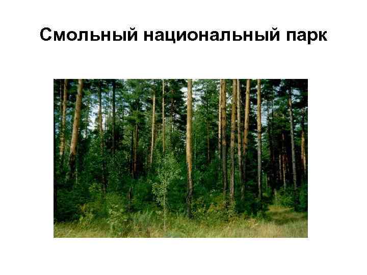 Смольный национальный парк 