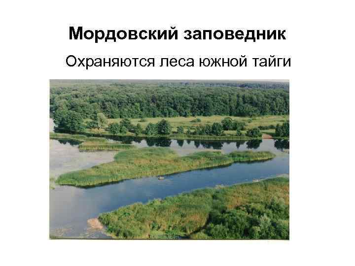 Карта мордовского заповедника