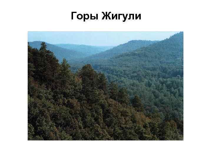 Горы Жигули 