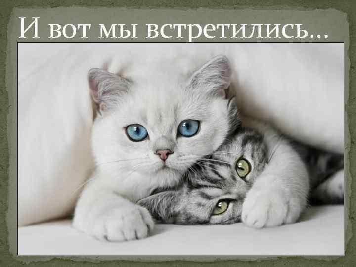И вот мы встретились… 
