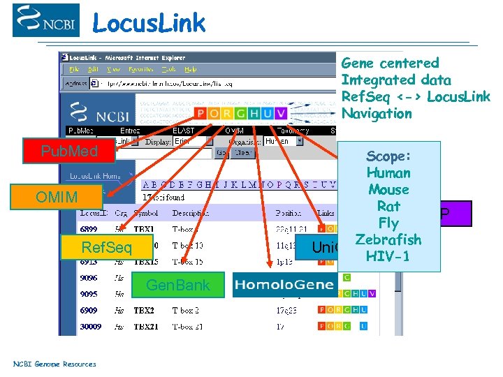 Locus. Link Gene centered Integrated data Ref. Seq <-> Locus. Link Navigation Pub. Med