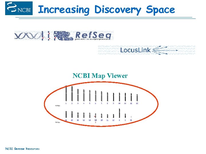 Increasing Discovery Space NCBI Map Viewer NCBI Genome Resources 