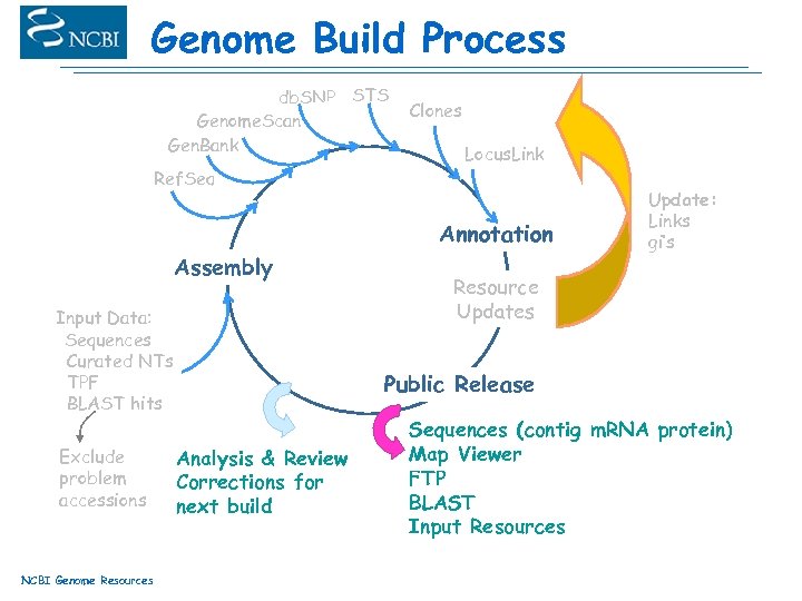 Genome Build Process db. SNP STS Genome. Scan Gen. Bank Ref. Seq Clones Locus.