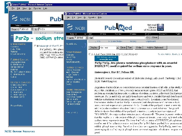 Psr 2 p – sodium stress response in yeast NCBI Genome Resources 