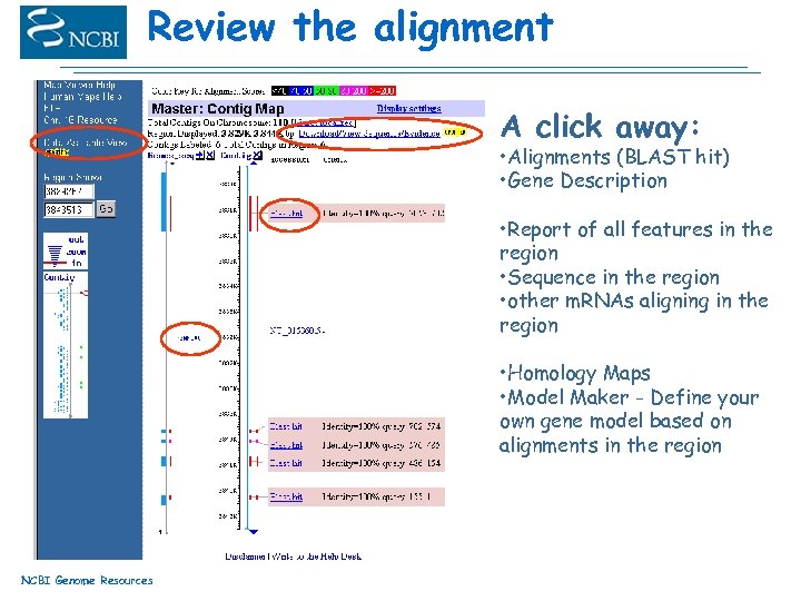 Review the alignment A click away: • Alignments (BLAST hit) • Gene Description •