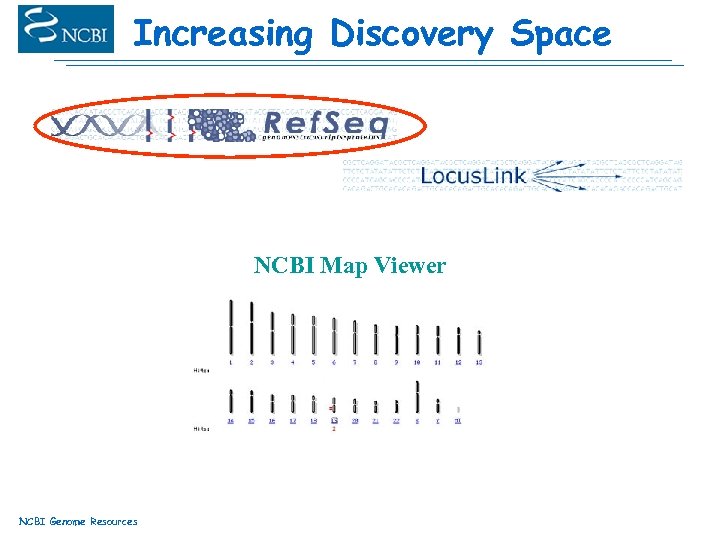 Increasing Discovery Space NCBI Map Viewer NCBI Genome Resources 